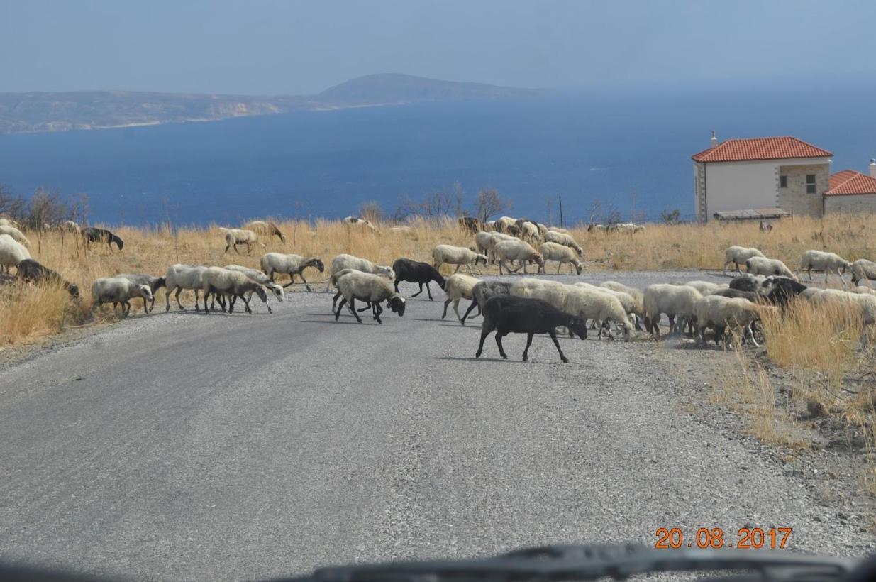 Island Villa Agia Galini Exterior foto